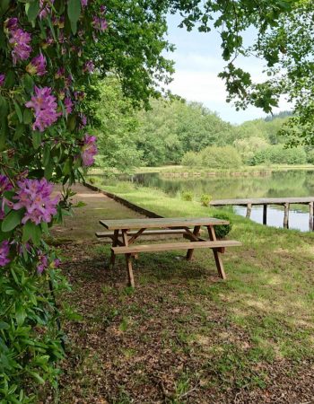 Etang du Mas des Loirs
