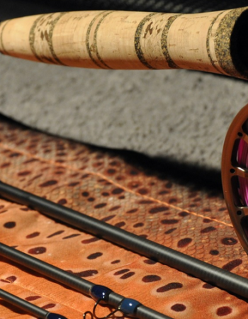 Les cannes du Limousin